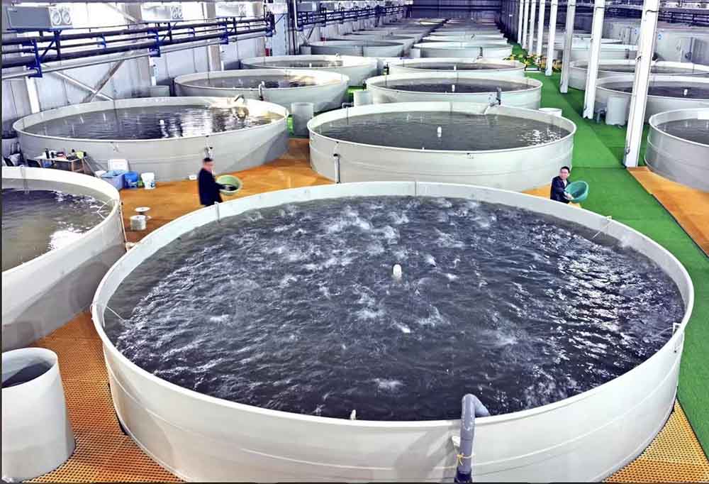 сурет-1